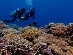 Destinasi Wisata Bawah Laut Indonesia yang Wajib Dikunjungi