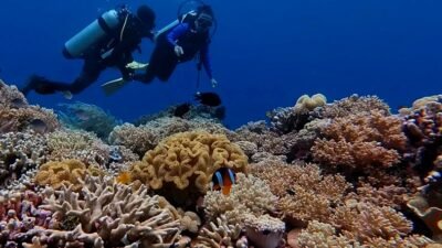 Destinasi Wisata Bawah Laut Indonesia. Foto: Instagram