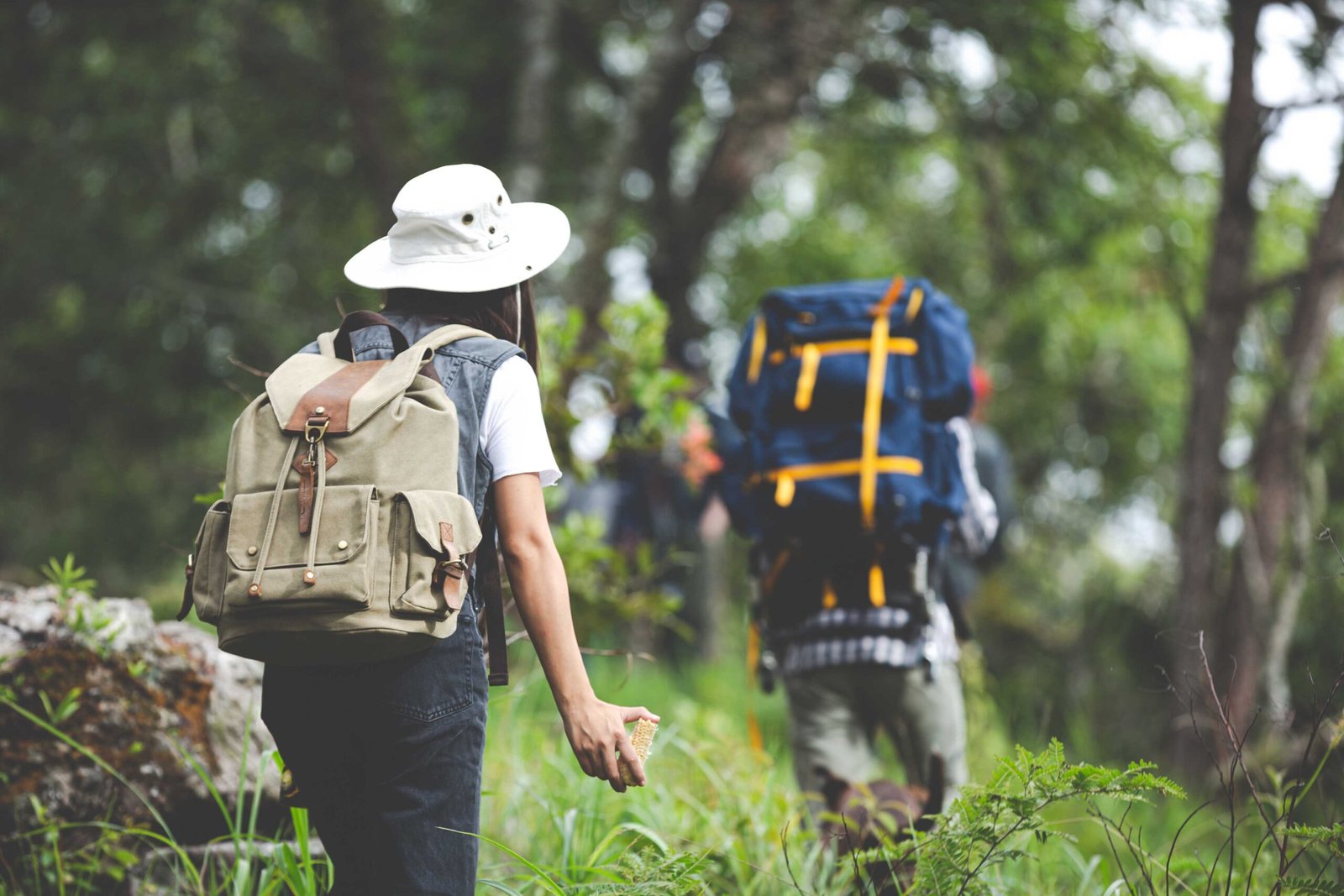 Mendaki Gunung