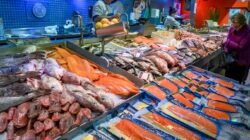 Ikan yang Aman Dikonsumsi Penderita Diabetes