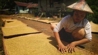 Mentan Andi Amran Tegaskan Perang Lawan Mafia Pangan, Pastikan Petani Sejahtera