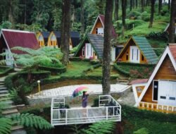 15 Tempat Menarik di Purwokerto dan Destinasi Wisata Hits di Banyumas yang Wajib Dikunjungi