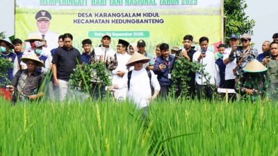 Banyumas Luncurkan Gerakan Pertanian Ramah Lingkungan untuk Masa Depan Petani