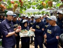 Lapak Bibit Karang Taruna Sukahati: Produksi Ribuan Bibit Anggur dan Alpukat Tiap Bulan