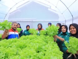 Kilang Pertamina Cilacap Dorong Hidroponik di Kalijaran untuk Kemandirian Pangan Warga