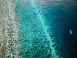 Jelajahi Wisata Dekat Sirkuit Mandalika: Trio Gili yang Memesona di Pulau Lombok