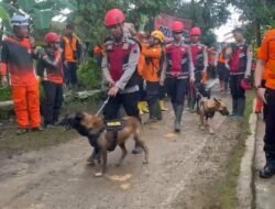 Pencarian Hari Ketiga, Tim SAR Kerahkan 9 Anjing Pelacak dan 9 Alat Berat di Longsor Majenang