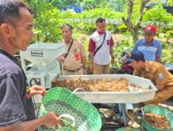 Alat Perontok dan Pembersih Kapulaga Ringankan Beban Petani Purbalingga