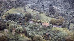 Rekomendasi Wisata Alam Puncak Bogor untuk Liburan Akhir Tahun yang Tak Terlupakan