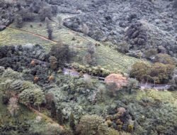 Rekomendasi Wisata Alam Puncak Bogor untuk Liburan Akhir Tahun yang Tak Terlupakan