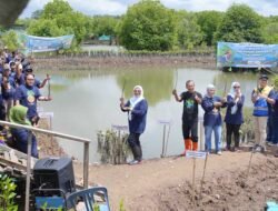 Kilang Cilacap Tanam 100 Ribu Mangrove di DAS Donan, Bukti Nyata Komitmen Jaga Alam