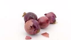 Mahasiswa Unsoed Kembangkan Microneedle Patch dari Limbah Bawang Merah untuk Terapi Hiperlipidemia