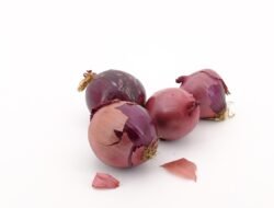 Mahasiswa Unsoed Kembangkan Microneedle Patch dari Limbah Bawang Merah untuk Terapi Hiperlipidemia