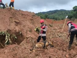 Unit K9 Bantu Temukan Tujuh Korban Tewas Longsor Majenang, 13 Warga Masih Hilang