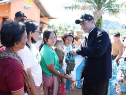 Mentan Tinjau Lokasi Banjir di Sumut, Tegaskan Cadangan Beras Aman dan Pemulihan Sawah Dipercepat