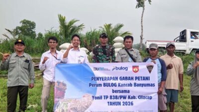 Gandeng Yonif 838/Purwa Wijaya, Bulog Banyumas Serap Gabah Petani
