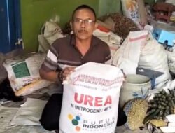 147 Transaksi Pupuk Subsidi 2026 Laris dalam 16 Menit, Sistem iPubers dan Kartu Tani Berjalan Mulus