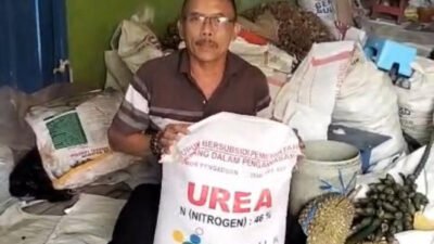 147 Transaksi Pupuk Subsidi 2026 Laris dalam 16 Menit, Sistem iPubers dan Kartu Tani Berjalan Mulus