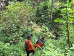 Lansia Hilang di Hutan Pekuncen Banyumas, Tim SAR Perluas Metode Pencarian