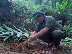 Rawat Alam dan Budaya, Konservasi Mata Air Digelar di Lembah Watu Sanggar Purbalingga