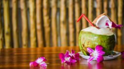 Selain Segar dan Nikmat, Ini Manfaat Air Kelapa untuk Buka Puasa yang Wajib Kamu Tahu!