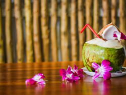 Selain Segar dan Nikmat, Ini Manfaat Air Kelapa untuk Buka Puasa yang Wajib Kamu Tahu!