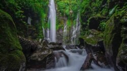 Liburan ke Semarang? Ini 6 Rekomendasi Tempat Wisata Alam yang Wajib Dikunjungi