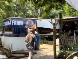 Peternak Kambing di Banyumas Beralih dari “Tabungan Darurat” ke Bisnis Agribisnis