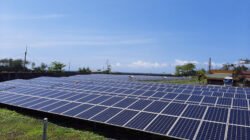 Prabowo Dorong Percepatan Energi Bersih, PLTS untuk Sekolah dan Desa Jadi Prioritas