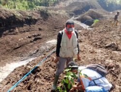 5 Ribu Pohon Ditanam di Lereng Slamet, Aksi Kolaboratif Pulihkan Lingkungan