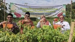 Program Infratani Perkuat Kemandirian Ponpes Lewat Sektor Pertanian