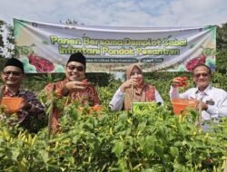 Program Infratani Perkuat Kemandirian Ponpes Lewat Sektor Pertanian