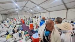 Puncak Haji 1447 H Dimulai, Jemaah Indonesia Bergerak ke Arafah dan Diingatkan Jaga Kondisi Fisik