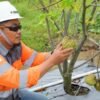 Terapkan Good Mining Practice, SBI Cilacap Raih Penghargaan GMP