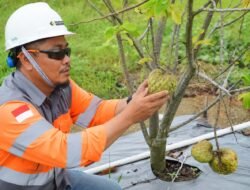 Terapkan Good Mining Practice, SBI Cilacap Raih Penghargaan GMP