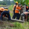 KAI Tutup Perlintasan Liar di Tegal, Daop 5 Purwokerto: Kereta Melintas Tiap 12 Menit Sekali