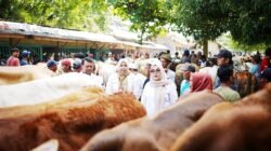 Jelang Idul Adha, Harga Hewan Kurban di Banyumas Naik Tipis, Daya Beli Warga Menurun