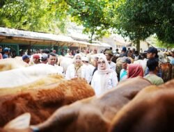 Jelang Idul Adha, Harga Hewan Kurban di Banyumas Naik Tipis, Daya Beli Warga Menurun