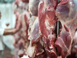 Amankah Konsumsi Daging Kambing Saat Iduladha bagi Penderita Hipertensi? Ini Penjelasannya