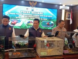 Polda Jateng Bongkar Perdagangan Satwa Dilindungi, 18 Kasturi Kepala Hitam Diselamatkan