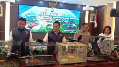 Polda Jateng Bongkar Perdagangan Satwa Dilindungi, 18 Kasturi Kepala Hitam Diselamatkan