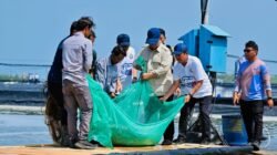 Prabowo Panen Raya Udang di Kebumen, Sebut Indonesia Berpeluang Jadi Produsen Udang Nomor Satu Dunia