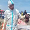 2 Hiu Paus Terdampar Beruntun di Cilacap, Peneliti Temukan Sampah Plastik di Saluran Pencernaan