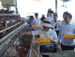 Wajah Baru Nusakambangan: Dulu Angker, Kini Jadi Lumbung Pangan dan Cetak Napi Produktif
