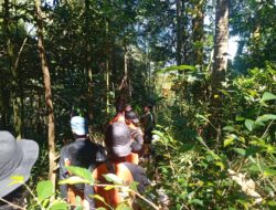 Hari Kedua Pencarian Lansia Hilang di Hutan Paguyangan Masih Nihil, Tim SAR Terkendala Vegetasi Rapat