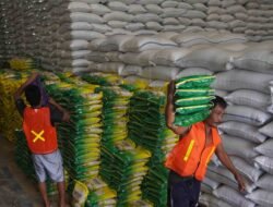 Serapan Gabah Bulog Tembus 3 Juta Ton Beras, Banyumas Capai Lebih dari 54 Ribu Ton