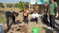 Unik! Setiap Bayi Lahir di Sragen Dapat Pohon Buah, Ini Filosofi Program Sedulur Alam