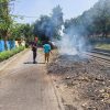 Daop 5 Purwokerto Ingatkan Bahaya Bakar Jerami Dekat Rel, Bisa Ganggu Perjalanan Kereta Api