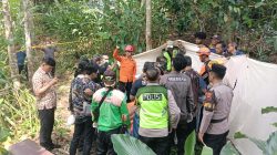 Lansia Meninggal di Atas Pohon Kelapa Setinggi 15 Meter di Purbalingga, Diduga Penyakit Kambuh