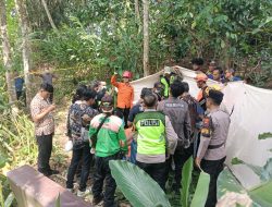 Lansia Meninggal di Atas Pohon Kelapa Setinggi 15 Meter di Purbalingga, Diduga Penyakit Kambuh